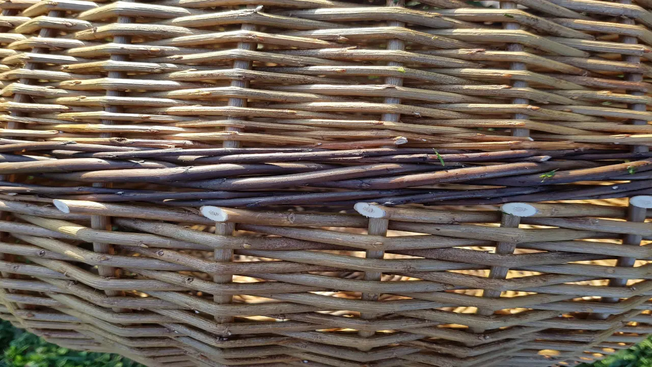 Close-up of willow weaving