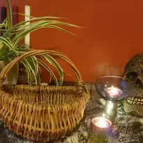 Willow basket holding a plant pot indoors