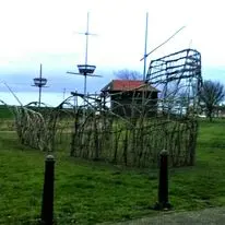 Outdoor willow structure installation in a field