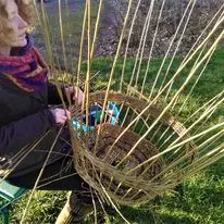 Weaving in progress with willow rods and hands at work