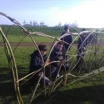 Living willow tunnel build in progress with people weaving the framework